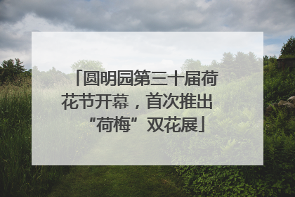 圆明园第三十届荷花节开幕，首次推出“荷梅”双花展
